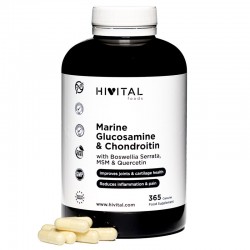 Hivital Marine Glucosamin mit Chondroitin 365 Kapseln