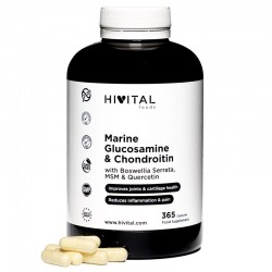 Hivital Glucosamine Marine avec Chondroïtine 365 gélules