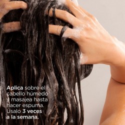 Acheter Nutradeica ISDIN Shampooing Antipelliculaire Gras 200 ml【OFFRE EN LIGNE】