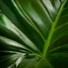 NUXE Sabonete Bio Reabastecedor para Pele Sensível 100gr