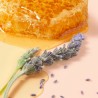 Nuxe Rêve de Miel Soin Lèvres 10 ml