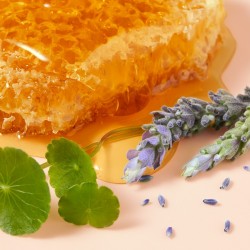 Crema per le mani Nuxe Rêve de Miel Cica 50ml