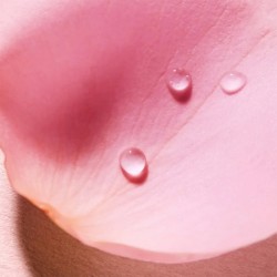 Nuxe Feuchtigkeitsspendendes Mizellenwasser 3 in 1 – Trockene bis sehr trockene Haut 200 ml