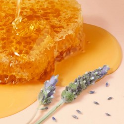 NUXE Rêve de Miel Baume Lèvres Ultra-Hydratant 15G
