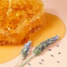 NUXE Rêve de Miel Baume Lèvres Ultra-Hydratant 15G