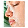 IROHA NATURE Feuchtigkeitsspendende Gewebe-Gesichtsmaske mit Avocado 1 Einheit