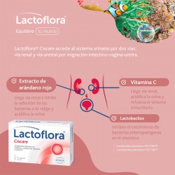 LACTOFLORA Protetor Ciscare com Desconforto Urinário de Mirtilos 30 cápsulas
