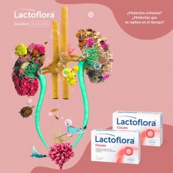 LACTOFLORA Ciscare Protector with Blueberries Urinary Discomfort 30 capsules