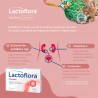 LACTOFLORA Protetor Ciscare com Desconforto Urinário de Mirtilos 15 cápsulas