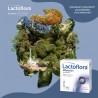 LACTOFLORA IBSolution 28 buste