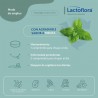 LACTOFLORA Saúde Oral Sabor Menta 30 Comprimidos