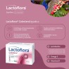 LACTOFLORA Cholesterin Vanillegeschmack 30 Beutel