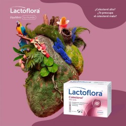 LACTOFLORA Colesterol sabor Vainilla 30 sobres