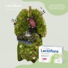 LACTOFLORA ImmunoPEQ Probiotika 30 Kapseln