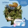 LACTOFLORA Protettore Intestinale Adulti 10 flaconi