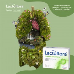 LACTOFLORA Immun Protector Erwachsene 30 Kapseln
