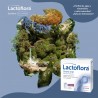 LACTOFLORA Siero Orale 6 Bustine
