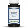 Bonusan Echinacea Purpurea-Angustifolia 60 Gélules