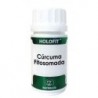 Equisalud Holofit Curcuma Fitosomada 50 Kapseln
