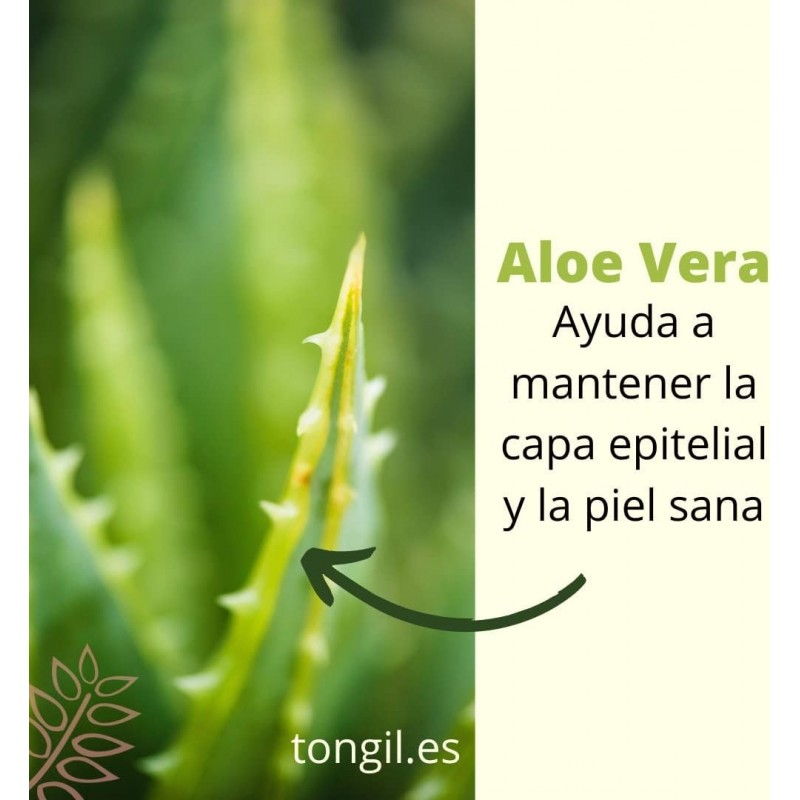 Tongil Aloe Vera Ecologico 100% Puro 1 Litro 【COMPRA AHORA】