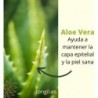 Tongil Organic Aloe Vera 100% Pure 1 Liter