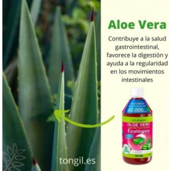 Tongil Aloe Vera Biologica Pura al 100% 1 Litro