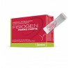 FISIOGEN Ferro Forte 30 Umschläge