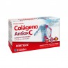 Zentrum Collagène Antiox Fortigel 30 Enveloppes