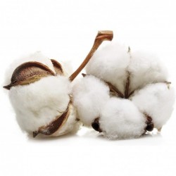 Masmi Masmi Dischetti struccanti in cotone naturale 80 unità 【ACQUISTO ONLINE】