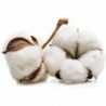 Masmi Discos Desmaquillar Masmi Natural Cotton 80 unidades  【COMPRA ONLINE】