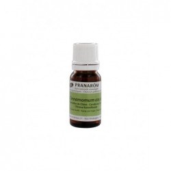 Pranarom Chinesischer Zimtzweig mit Bio-Blättern 10ml