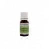 Pranarom Branche de Cannelle Chinoise aux Feuilles Bio 10 ml