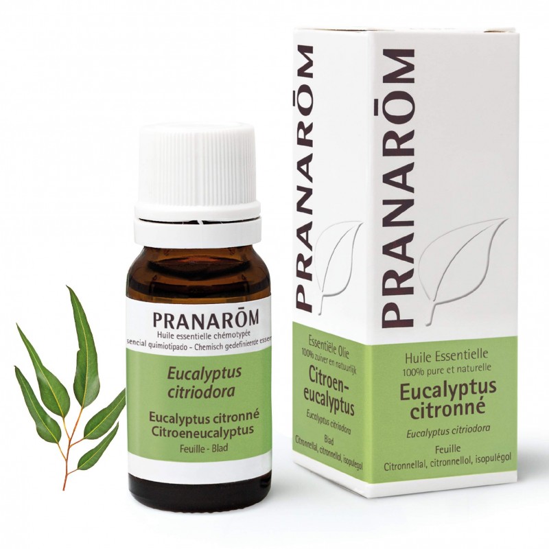 Pranarom Eucalyptus Feuille Bleue 10 ml Pranarom Eucalyptus Feuille Bleue 10 ml
