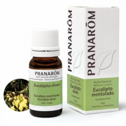 Pranarom Menthol Eukalyptusblatt 10 ml