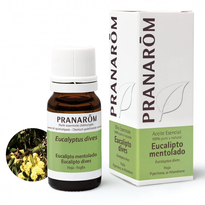 Pranarom Feuille d'Eucalyptus Mentholée 10 ml Pranarom Feuille d'Eucalyptus Mentholée 10 ml