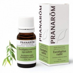 Pranarom Eukalyptus Radiata Blatt 10 ml