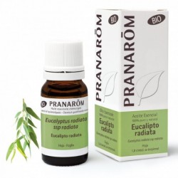 Pranarom Eucalyptus Radiata Foglia Organica 10ml