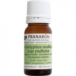 Pranarom Eucalyptus Radiata Feuille Bio 10ml 【ACHETER EN LIGNE】