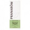 Pranarom Feuille de Géranium d'Egypte 10 ml