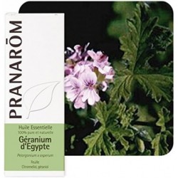 Pranarom Feuille de Géranium d'Egypte 10 ml