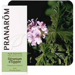 Pranarom Egyptian Geranium Leaf 10ml