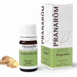 Pranarom Ingwer-Rhizom 5ml
