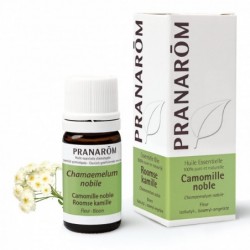 Pranarom Römische Kamillenblüte 5ml