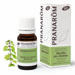 Pranarom Feldminze Luftteile Bio 10 ml