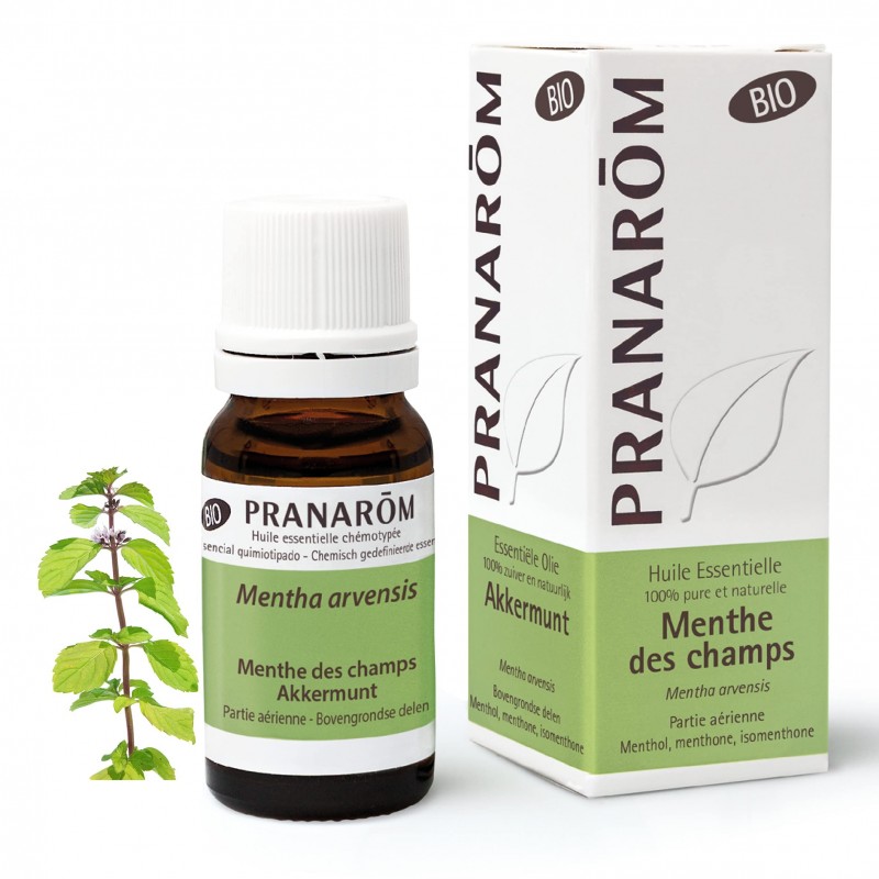 Pranarom Feldminze Luftteile Bio 10 ml Pranarom Feldminze Luftteile Bio 10 ml