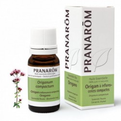 Pranarom Oregano aus kompakten Blütenständen 10 ml