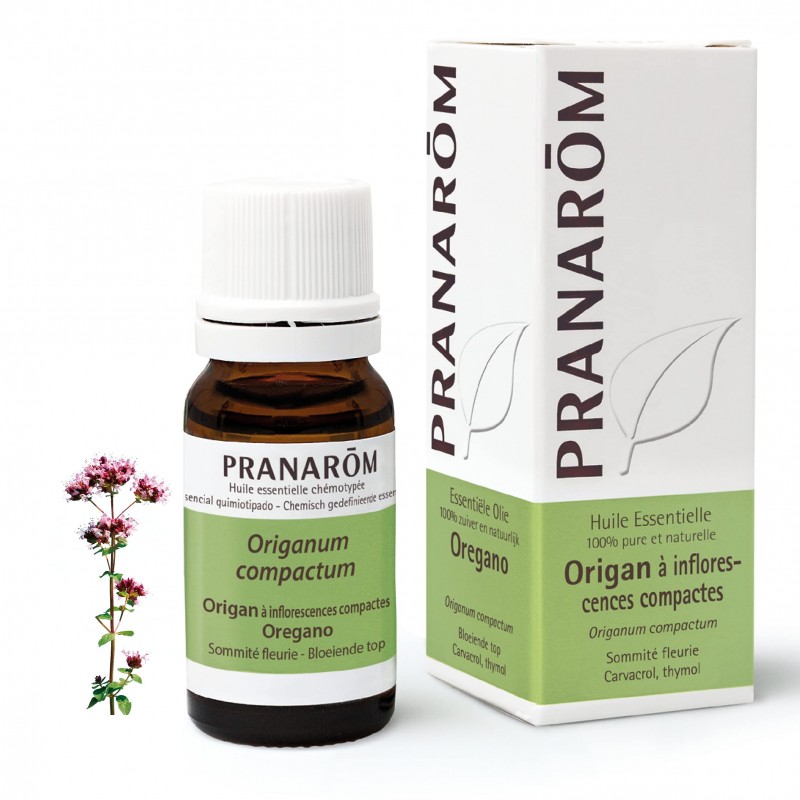 Pranarom Origan à Inflorescences Compactes 10 ml Pranarom Origan à Inflorescences Compactes 10 ml