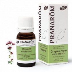 Pranarom Oregano From Compact Inflorescences Organic 10 ml