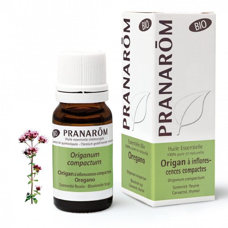 Pranarom Oregano aus kompakten Blütenständen Bio 10 ml