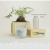 Solaray Vitex Mönchspfeffer 60 Kapseln 【ANGEBOT】